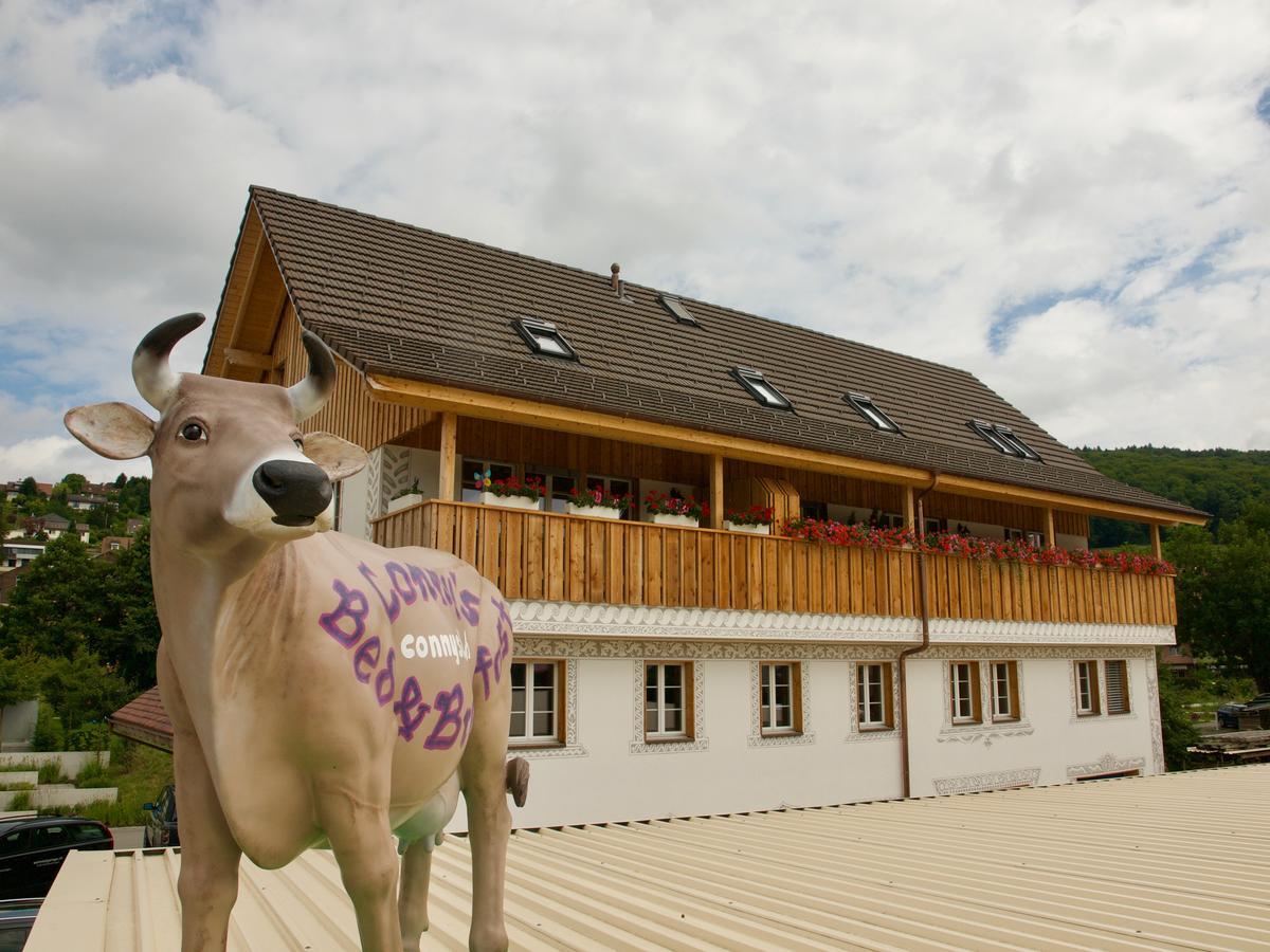 Conny'S B&B Niederweningen Exterior photo